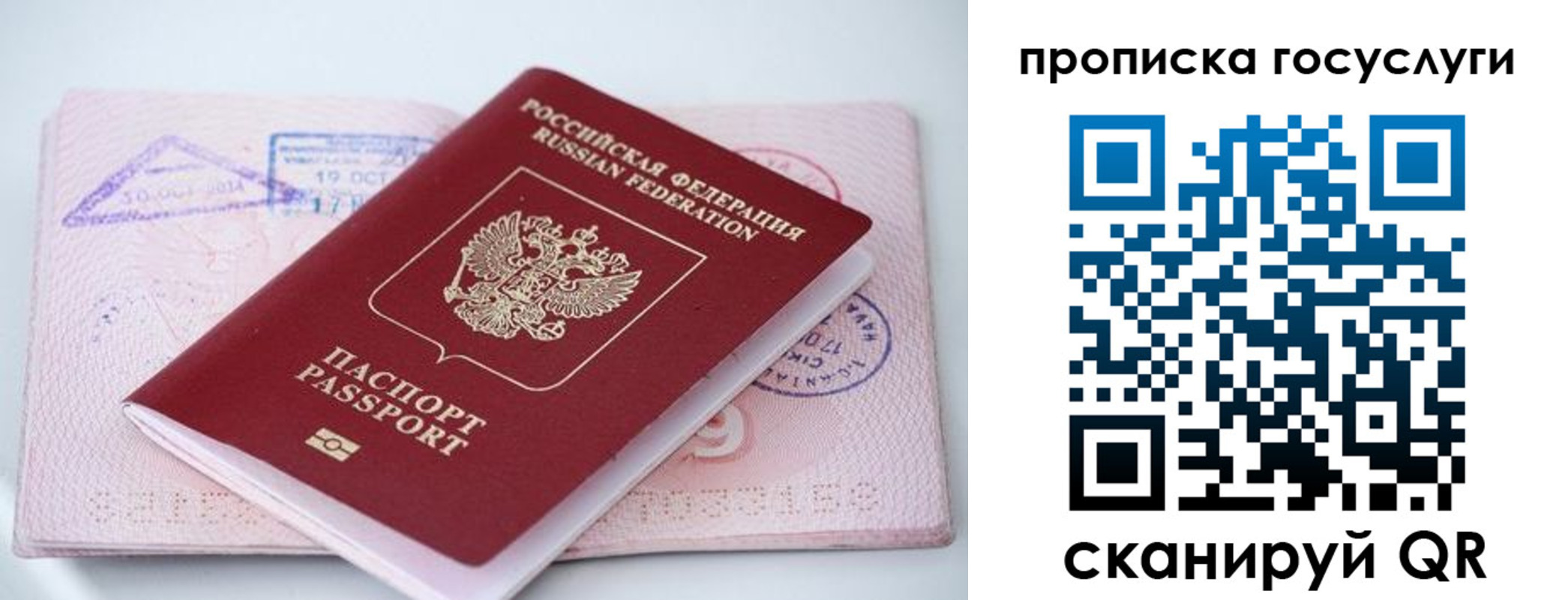 прописка законно в Московской области